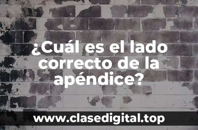 ¿Cuál es el lado correcto de la apéndice?