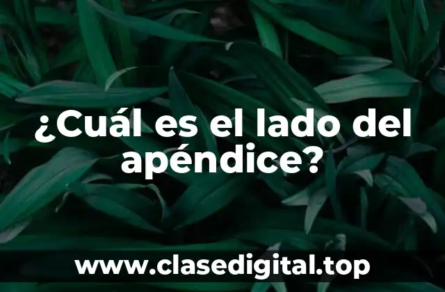 ¿Cuál es el lado del apéndice?