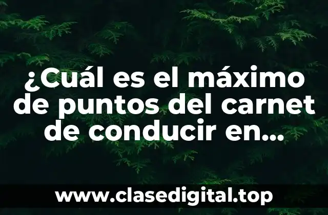 ¿Cuál es el máximo de puntos del carnet de conducir en España?