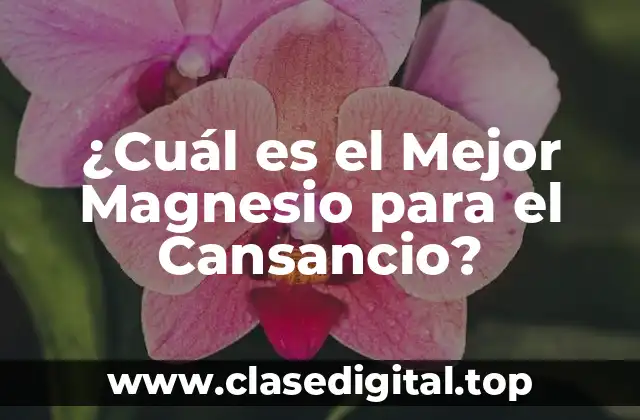 ¿Cuál es el Mejor Magnesio para el Cansancio?