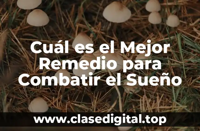 Cuál es el Mejor Remedio para Combatir el Sueño
