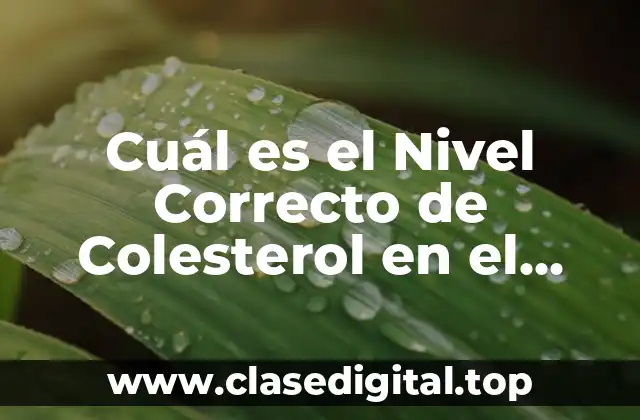 Cuál es el Nivel Correcto de Colesterol en el Cuerpo para una Salud Óptima