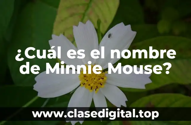 ¿Cuál es el nombre de Minnie Mouse?