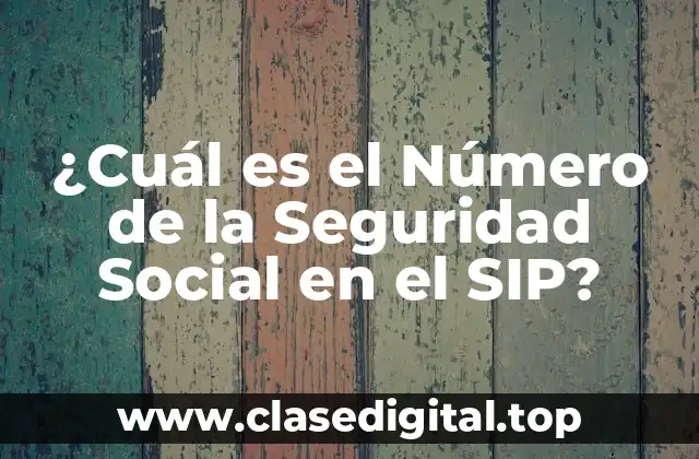 ¿Qué es el Número de la Seguridad Social?