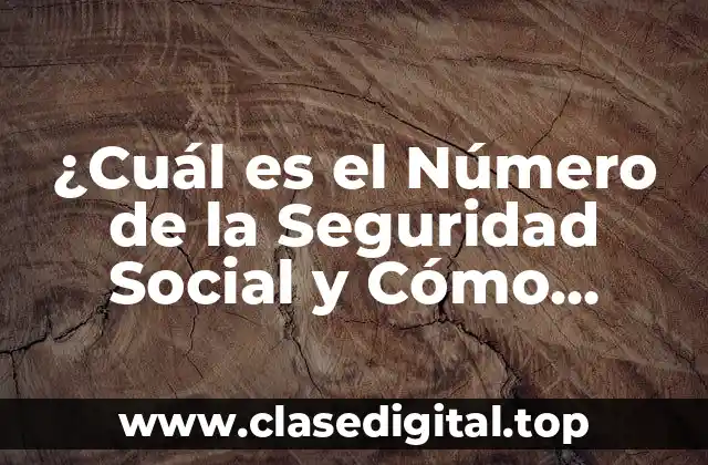 ¿Cuál es el Número de la Seguridad Social y Cómo Funciona?