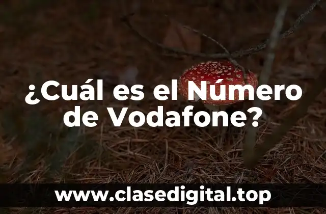¿Qué es el Número de Vodafone?