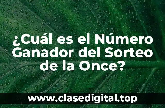 ¿Cuál es el Número Ganador del Sorteo de la Once?