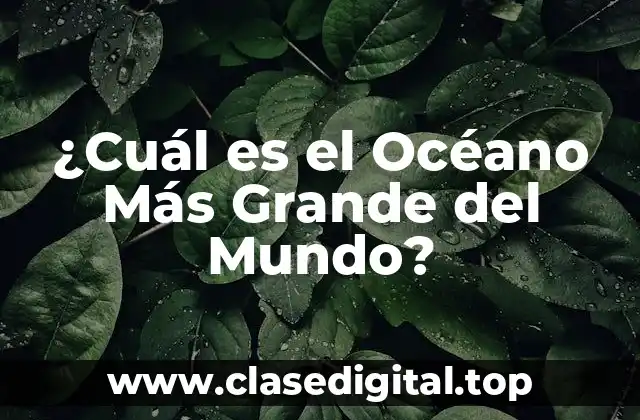 ¿Cuál es el Océano Más Grande del Mundo?