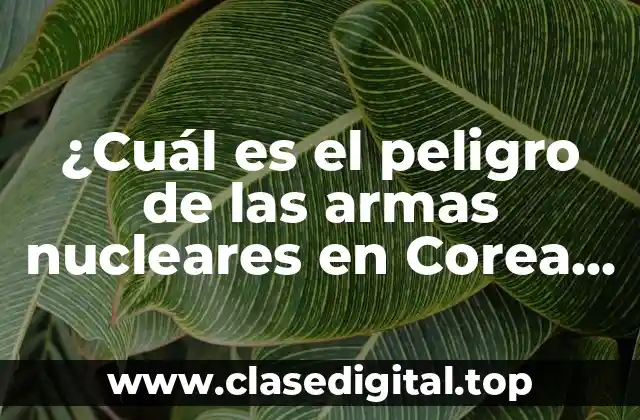 ¿Cuál es el peligro de las armas nucleares en Corea del Norte?