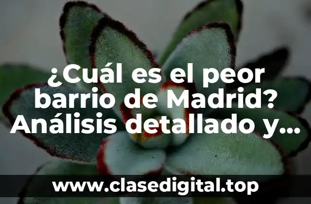 ¿Cuál es el peor barrio de Madrid? Análisis detallado y actualizado