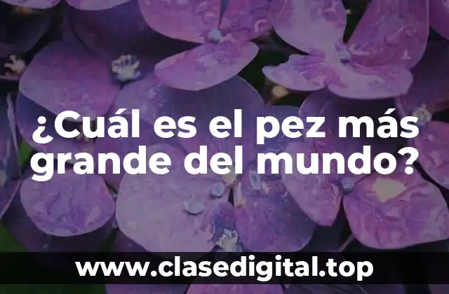 Los peces más grandes del mundo