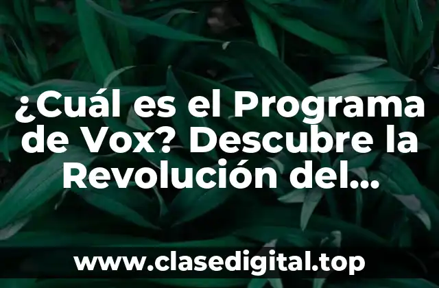 Características Clave del Programa de Vox
