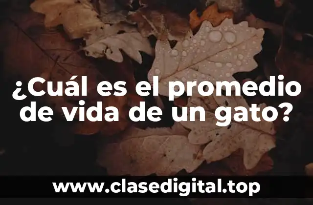 ¿Cuál es el promedio de vida de un gato?