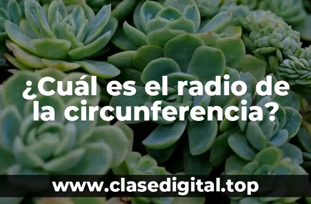 ¿Cuál es el radio de la circunferencia?