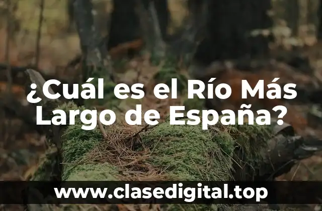 ¿Cuál es el Río Más Largo de España?