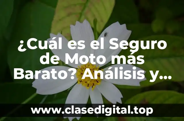 ¿Cuáles son los Factores que Afectan el Costo del Seguro de Moto?