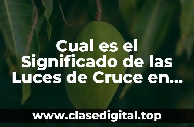 ¿Qué son las Luces de Cruce?