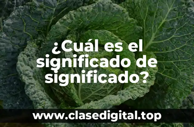 ¿Cuál es el significado de significado?