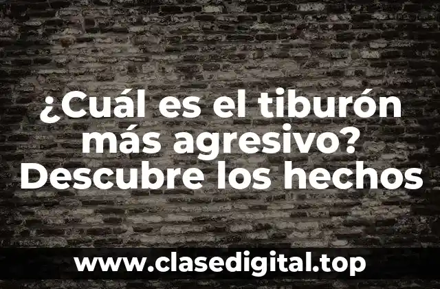 Características de los tiburones agresivos