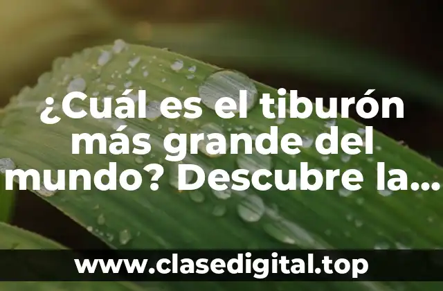 ¿Cuál es el tiburón más grande del mundo? Descubre la respuesta aquí