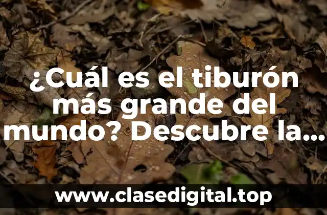 ¿Cuál es el tiburón más grande del mundo? Descubre la verdad sobre el rey de los mares