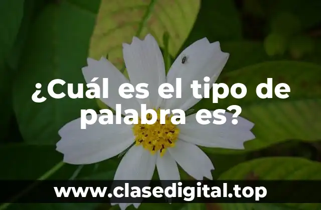 ¿Cuál es el tipo de palabra es?