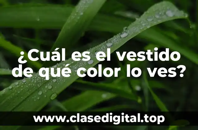 ¿Cuál es el vestido de qué color lo ves?