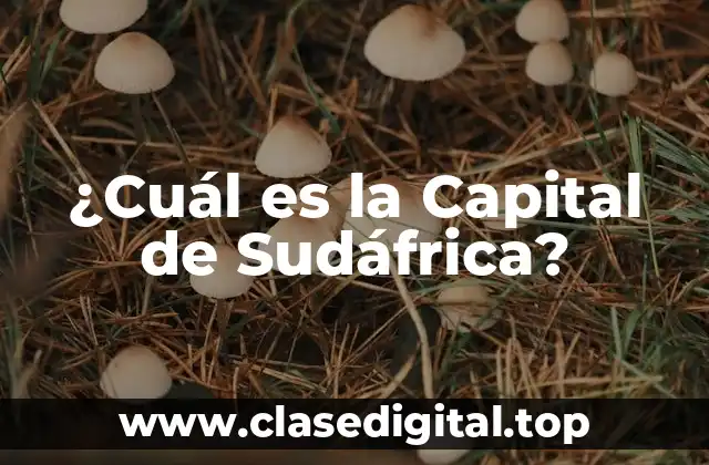 ¿Cuál es la Capital de Sudáfrica?