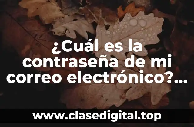 ¿Cuál es la contraseña de mi correo electrónico? Recupera tu acceso seguro