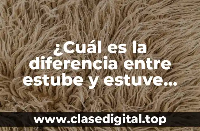 ¿Cuál es la diferencia entre estube y estuve como se escribe?