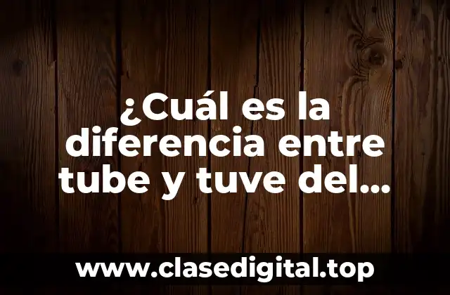 ¿Cuál es la diferencia entre tube y tuve del verbo tener?