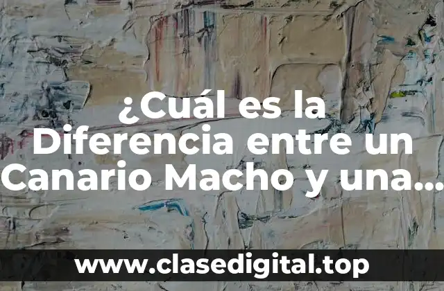 Morfología y Plumaje