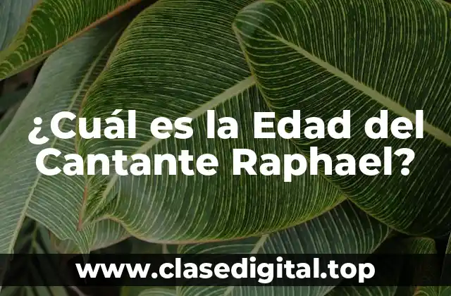 ¿Cuál es la Edad del Cantante Raphael?