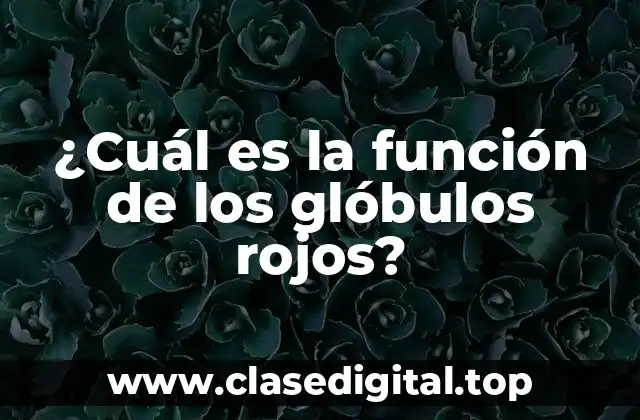 ¿Cuál es la función de los glóbulos rojos?