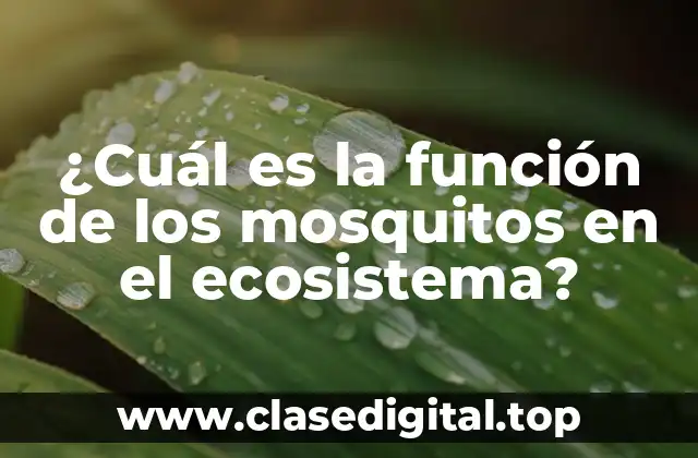 ¿Cuál es la función de los mosquitos en el ecosistema?