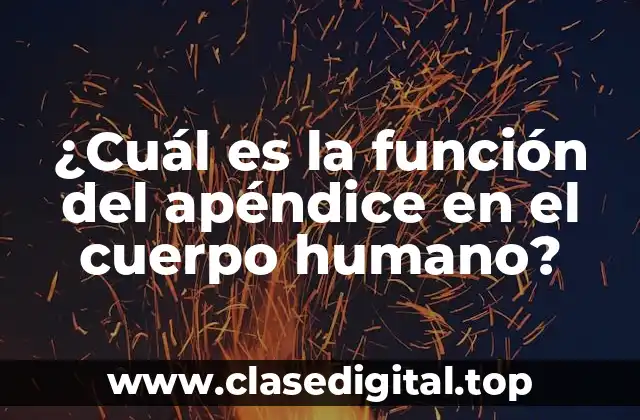 ¿Cuál es la función del apéndice en el cuerpo humano?