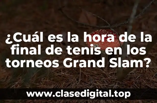 ¿Cuál es la hora de la final de tenis en los torneos Grand Slam?