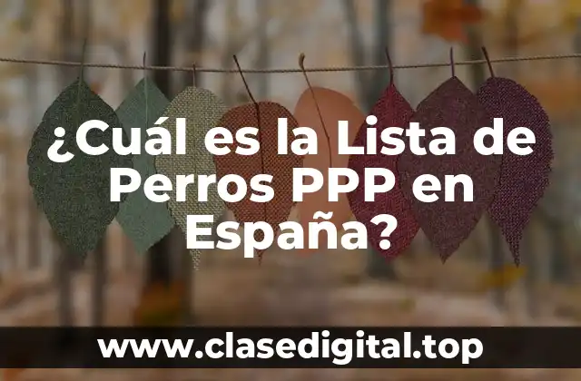 ¿Cuál es la Lista de Perros PPP en España?