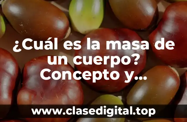 ¿Cuál es la masa de un cuerpo? Concepto y explicación