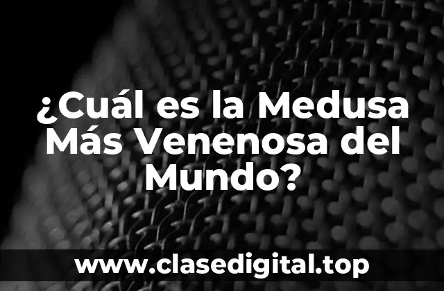 ¿Cuál es la Medusa Más Venenosa del Mundo?