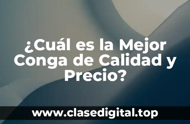 Factores que Influyen en la Calidad y Precio de una Conga