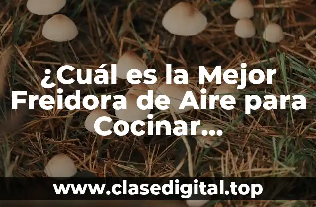¿Cuál es la Mejor Freidora de Aire para Cocinar Saludablemente?
