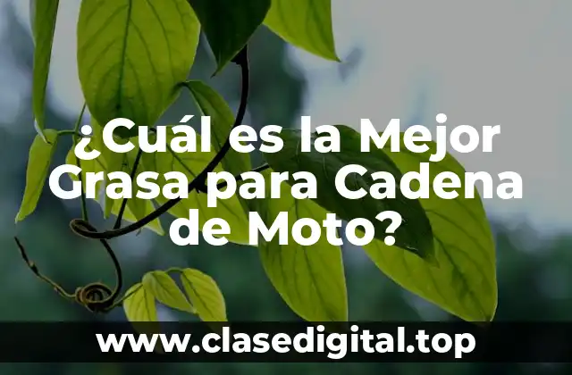 ¿Por qué es Importante Utilizar la Grasa Correcta para la Cadena de Moto?