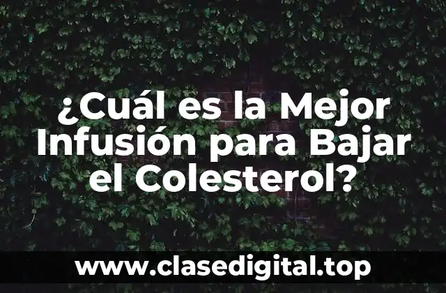¿Cuál es la Mejor Infusión para Bajar el Colesterol?