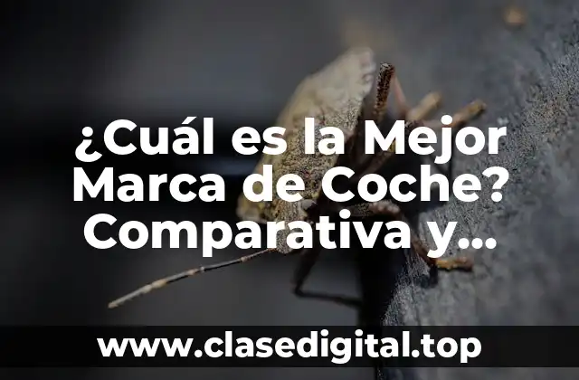 ¿Cuál es la Mejor Marca de Coche? Comparativa y Análisis