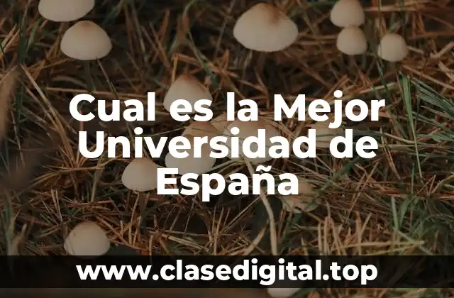 Cual es la Mejor Universidad de España