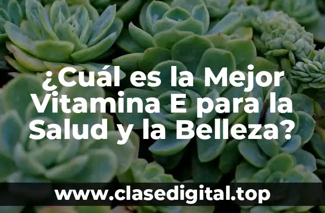 ¿Cuál es la Mejor Vitamina E para la Salud y la Belleza?
