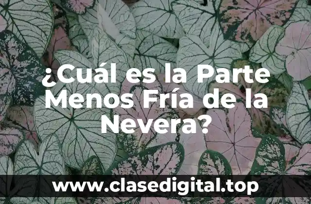 ¿Cuál es la Parte Menos Fría de la Nevera?