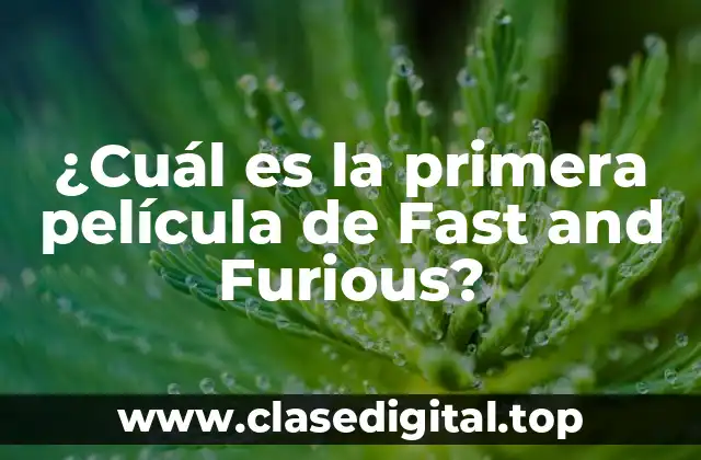 ¿Cuál es la primera película de Fast and Furious?