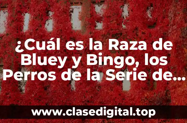 ¿Cuál es la Raza de Bluey y Bingo, los Perros de la Serie de Animación?